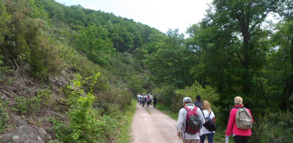 Ağva'nın en iyi  Romantik ve Toplantı Oteli