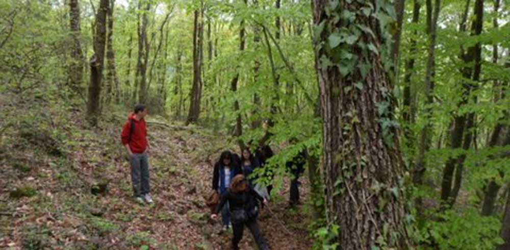 Ağva'nın en iyi  Romantik ve Toplantı Oteli