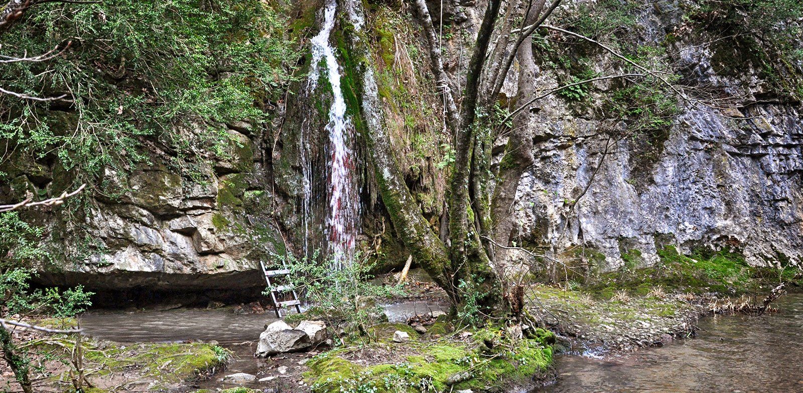 Ağva'nın en iyi  Romantik ve Toplantı Oteli