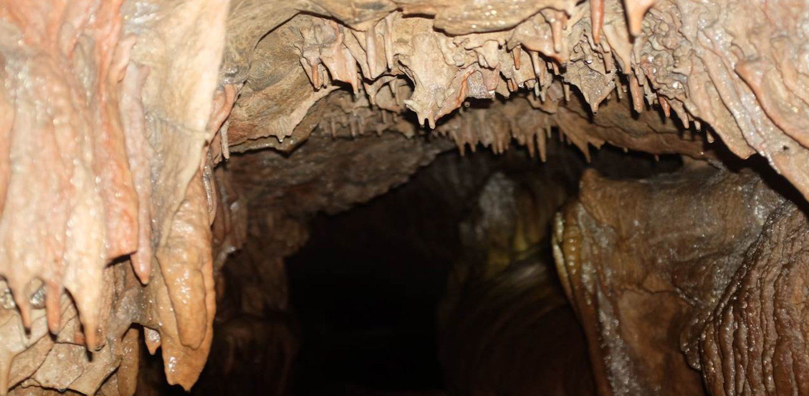 Ağva'nın en iyi  Romantik ve Toplantı Oteli