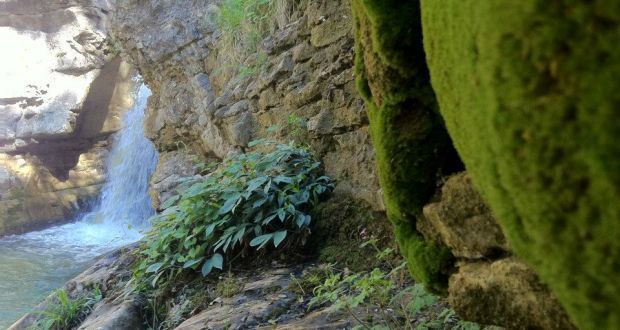 Ağva'nın en iyi Romantik ve Toplantı Oteli