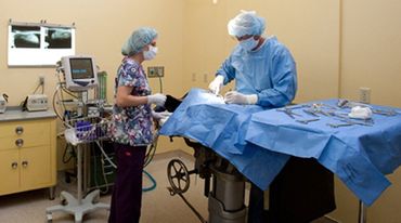 Vet — Cat On Cage With Dextrose in Tucson, AZ Vet — Cat On Cage With Dextrose in Tucson, AZ