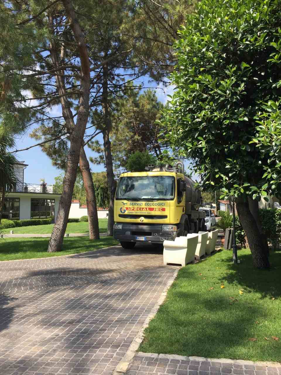 disinfestazione aree pubbliche