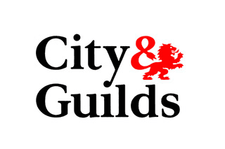 TRUST MARK, Checkatrade.com, Trusted trader, Trading Standards, City & Guilds and Gas Safe logos