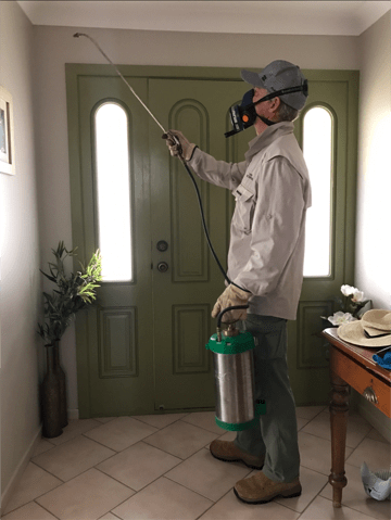 Pest Control inside the house — Pest Control in Yamba, NSW Pest Control inside the house — Pest Control in Yamba, NSW