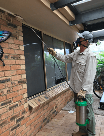Pest Control — Yamba Pest Control in Yamba, NSW