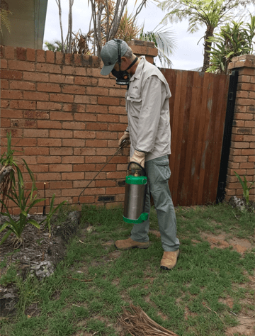 Pest Control On the garden — Yamba Pest Control in Yamba, NSW