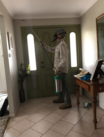 Pest Control inside the house — Yamba Pest Control in Yamba, NSW