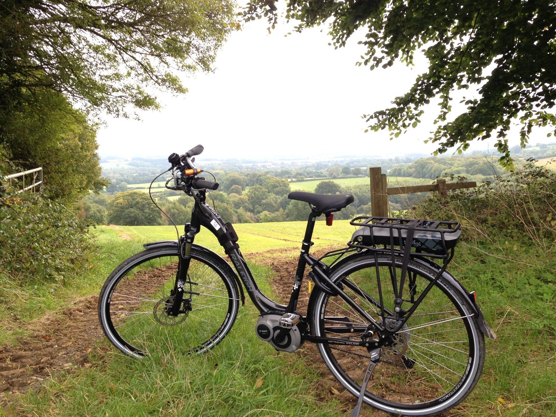 A black bicycle is parked in a grassy field.