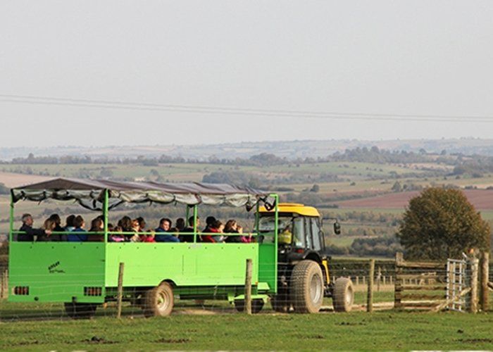 A green bus is pulled by a yellow tractor in a field.