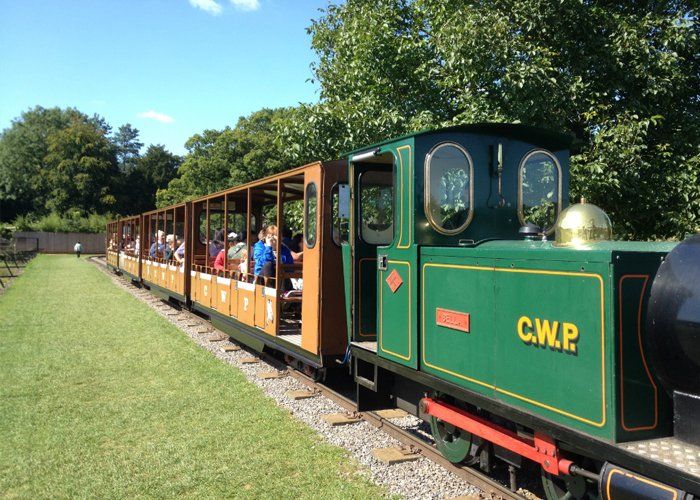 A green train with the word c.w.r. on it