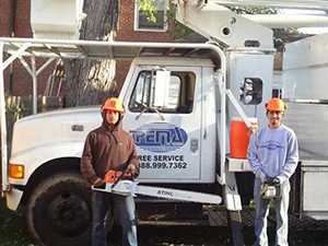 Tree Service 9 — Tree Care in Revere, MA