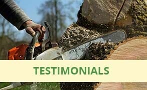 Tree Cutting — Tree Services in Revere, MA Tree Cutting — Tree Services in Revere, MA