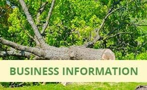 Tree Removal — Tree Services in Revere, MA Tree Removal — Tree Services in Revere, MA