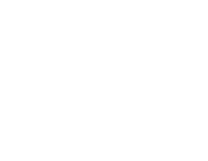 Third Bridge Holiday Home for Dogs logo