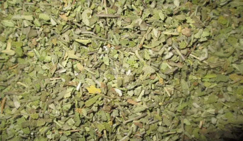 produzione di erbe da cucina