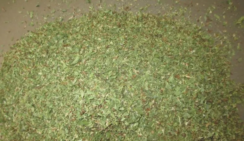produzione e vendita di origano essiccato