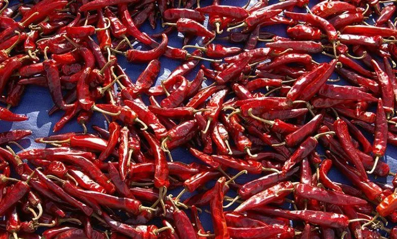 produzione di peperoncino essiccato