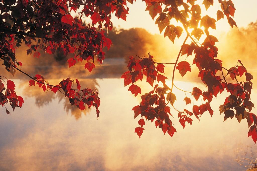 Paesaggio autunnale