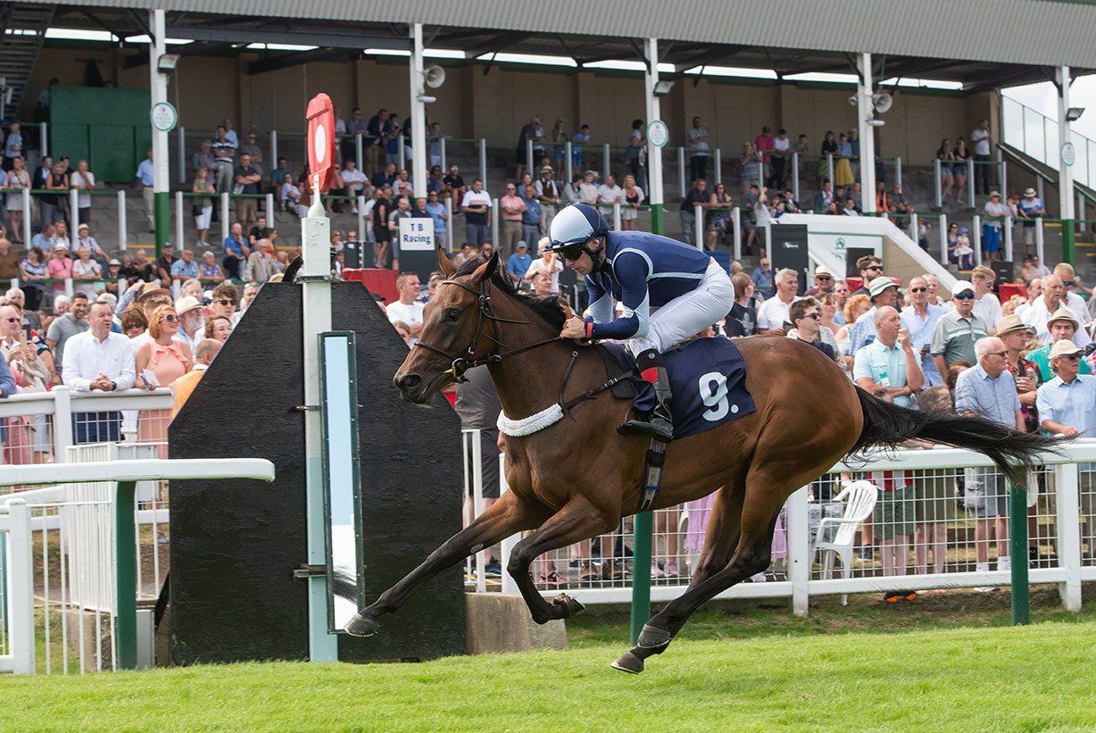 A jockey is riding a horse with the number 9 on the back.