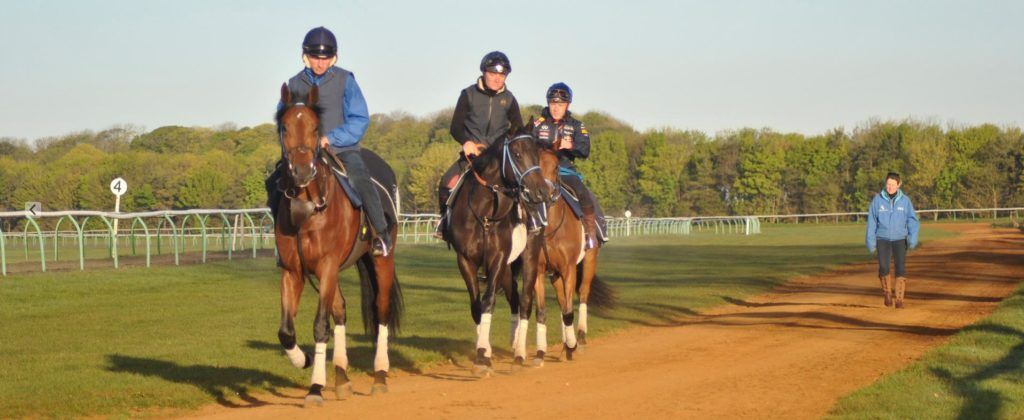 A group of people are riding horses on a dirt track.