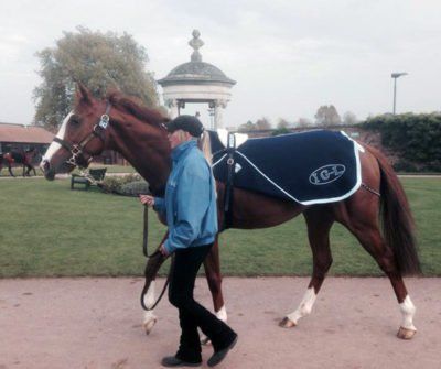 Tattersalls Sales