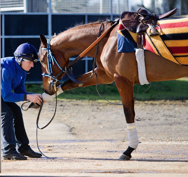 Essentials, Leg Stretches Before Track Work