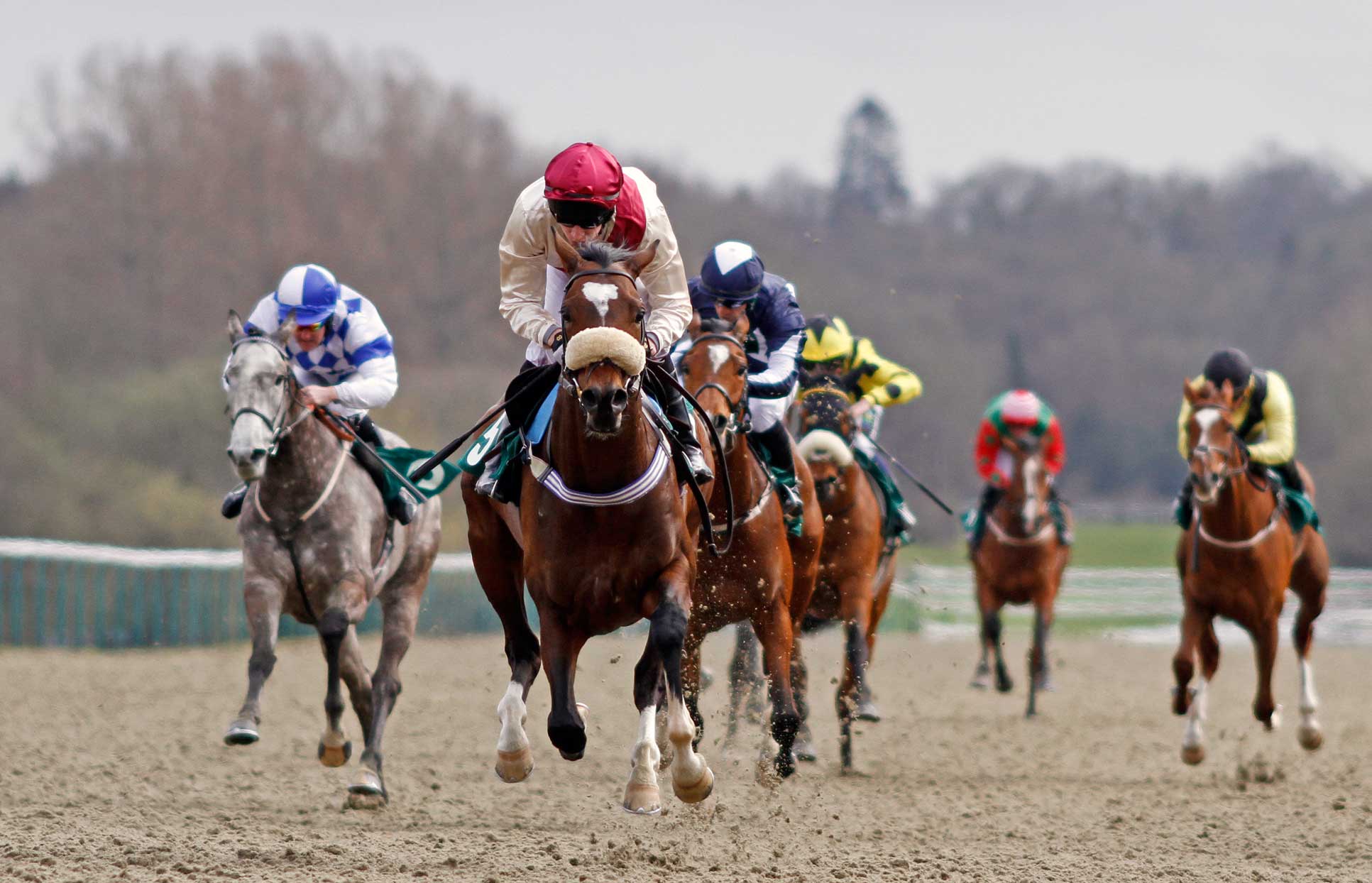 Force of Destiny wins at Lingfield Park