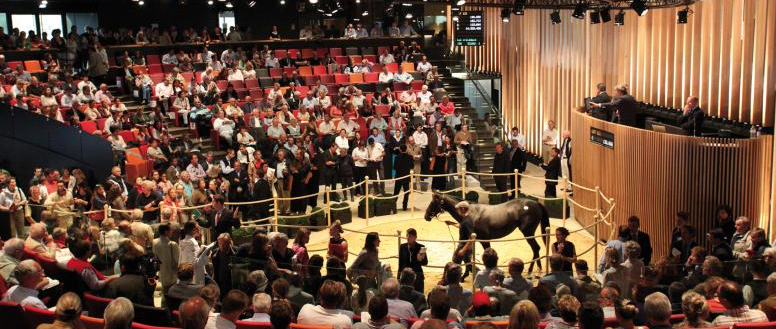 A crowd of people are watching a horse being sold at a auction.