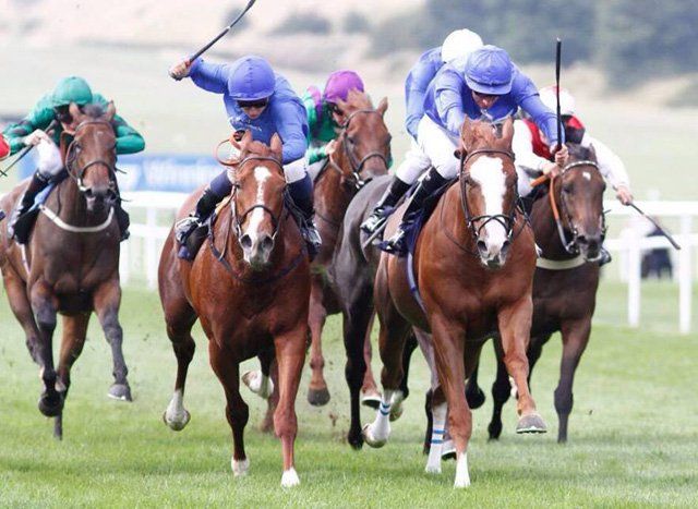 A group of jockeys are racing horses on a track