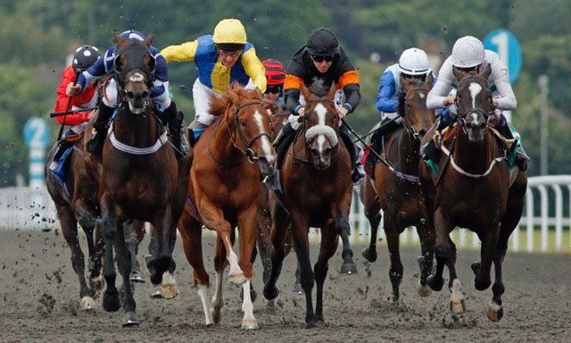 A group of horses and jockeys are racing on a dirt track.