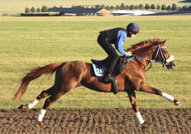 A person riding a brown horse with the number 30 on the saddle