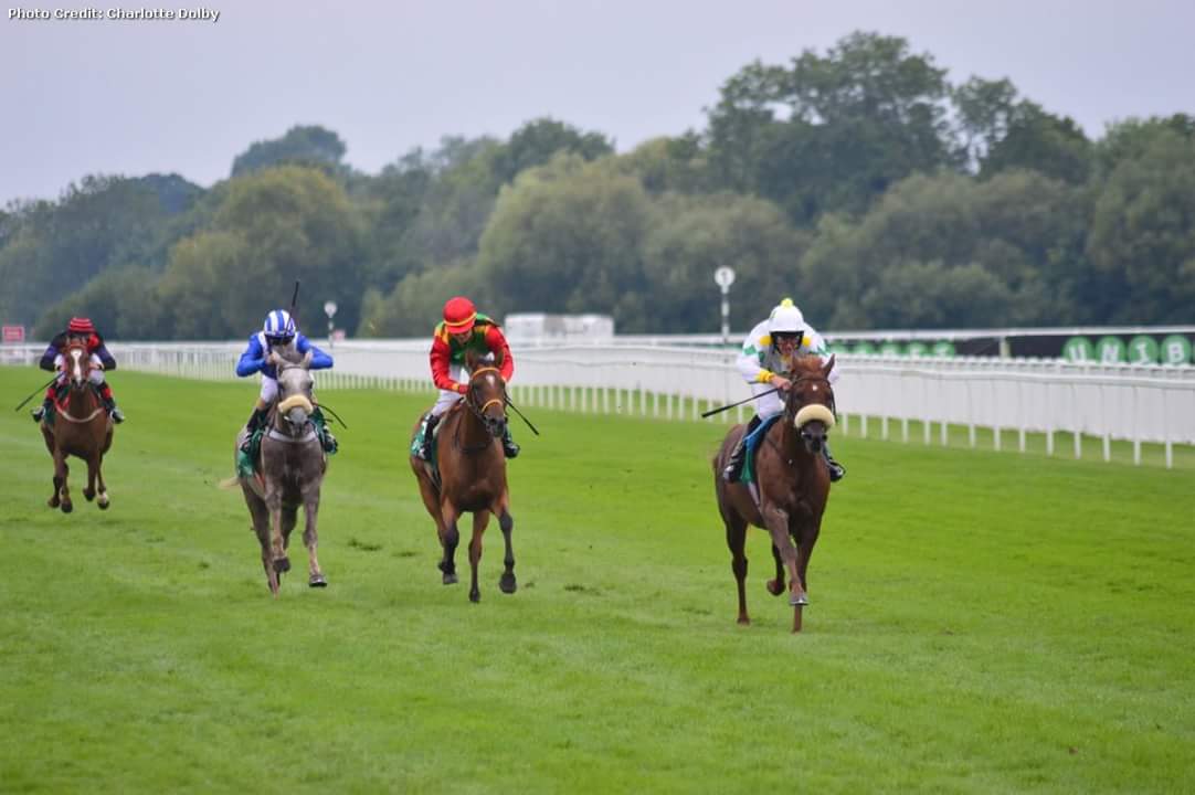 Arabian Storm Troupour win