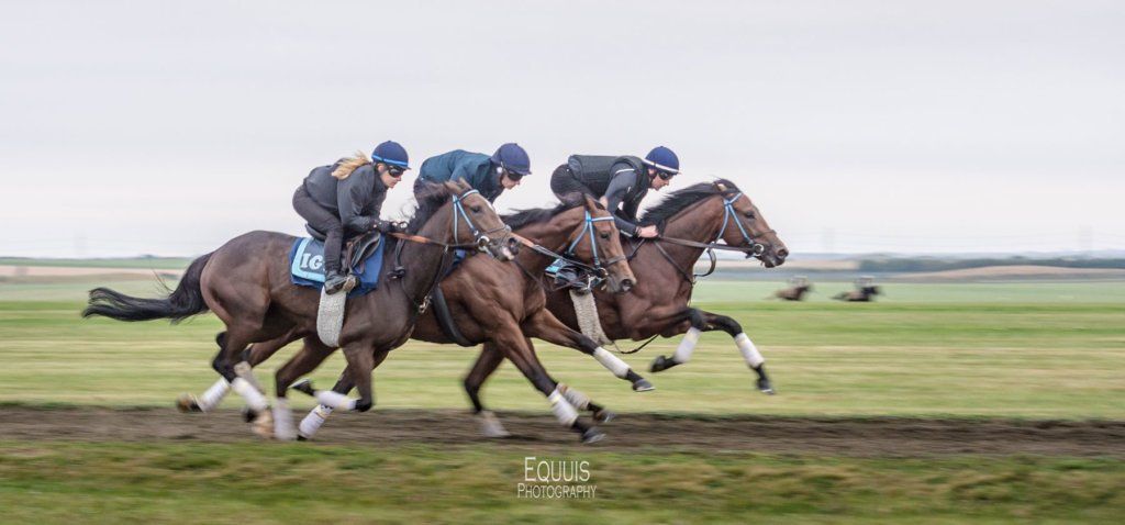 A group of horses are racing on a track.
