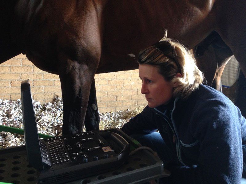 A woman is examining a horse with an ultrasound machine