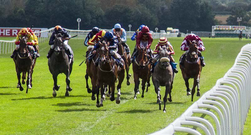 A group of horses are racing on a race track