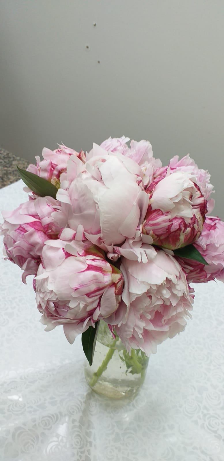 Fori rosa e bianchi