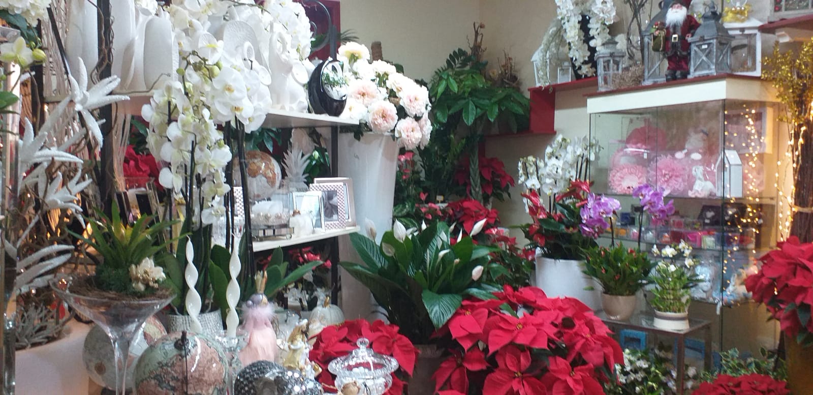 Ampia scelta di fiori