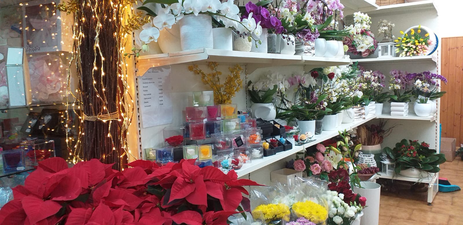 Fiori in esposizione