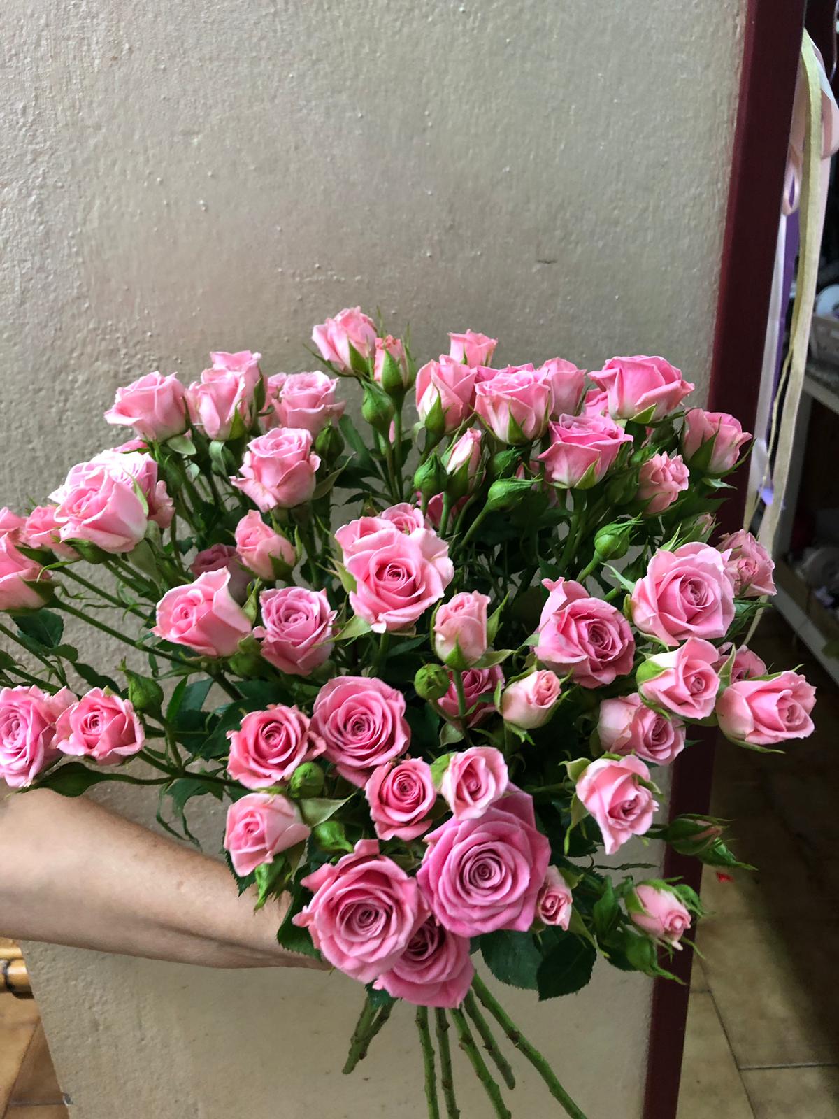 Fiori rosa