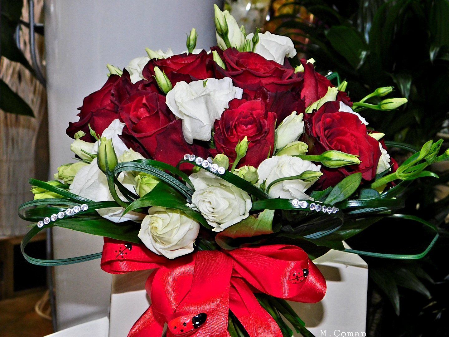 Rose rosse e bianche