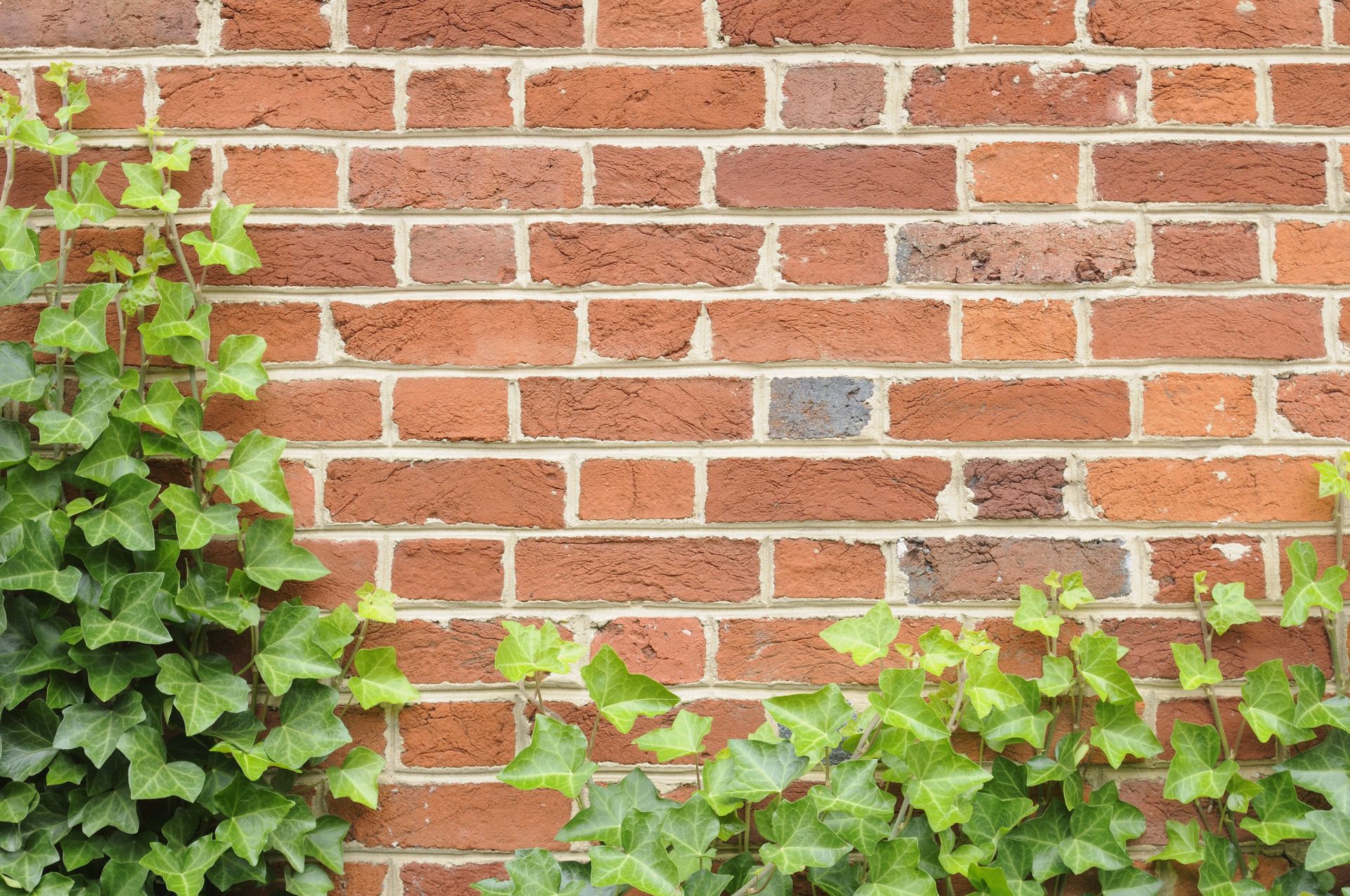 wall