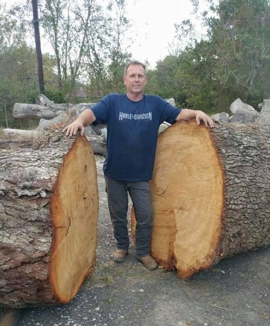 Man standing between two huge cut logs outdoors, resting his hands on each log