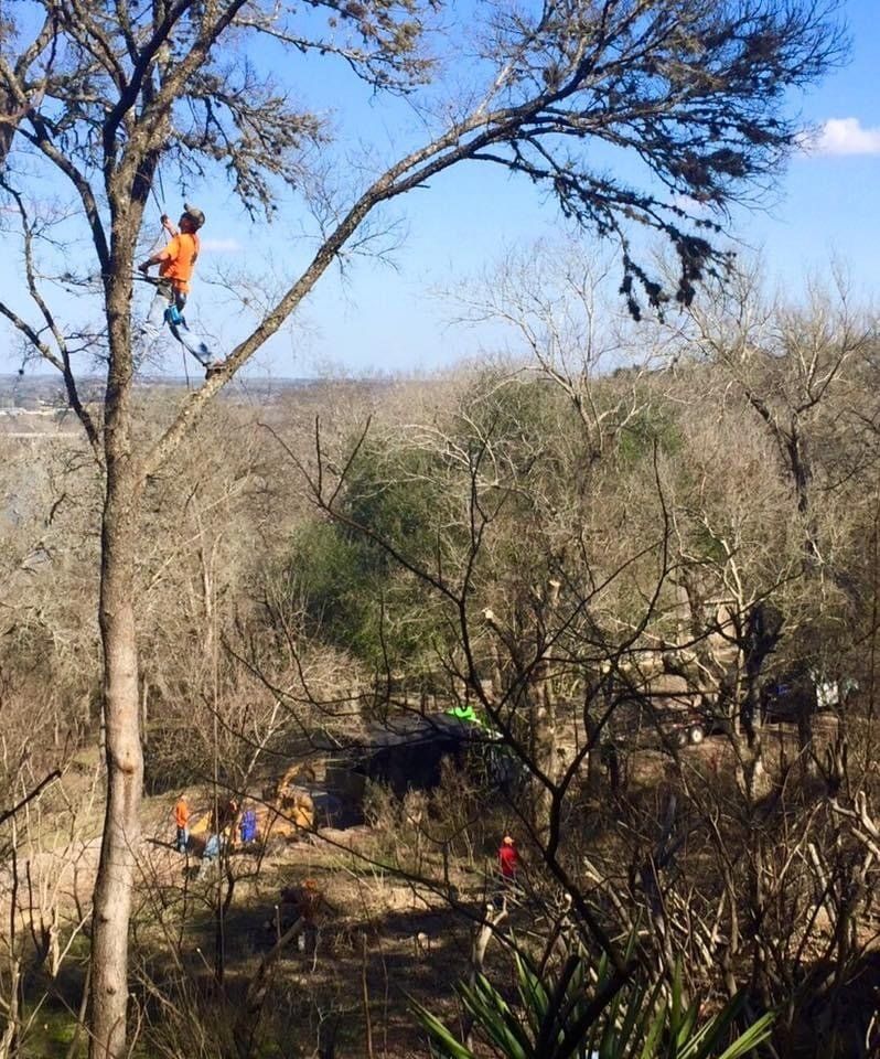 Worker in an orange safety suit on a tree over a wooded area with people below.