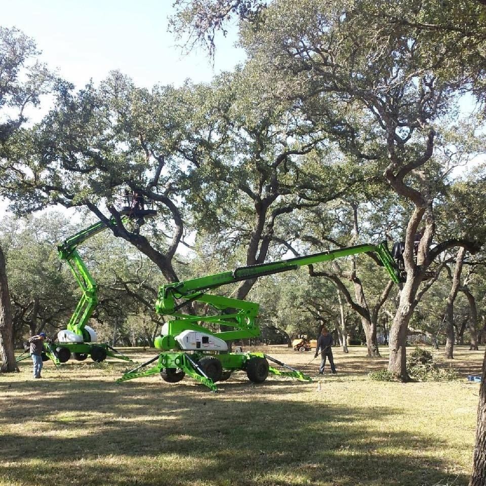 Green boom lift among large oak trees in a park, with workers nearby cleaning or trimming branches