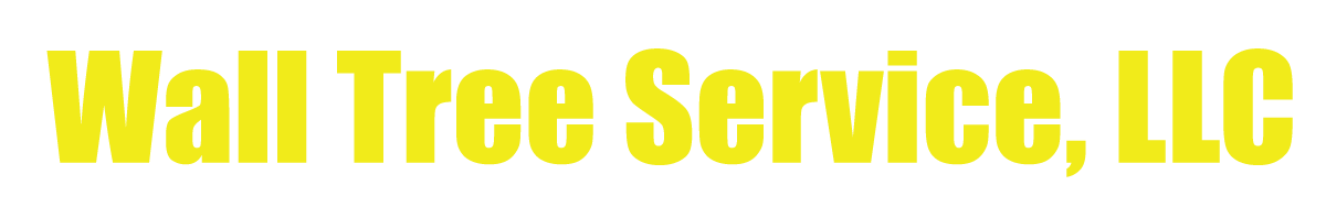 Wall Tree Service, LLC logo in yellow text on a white background