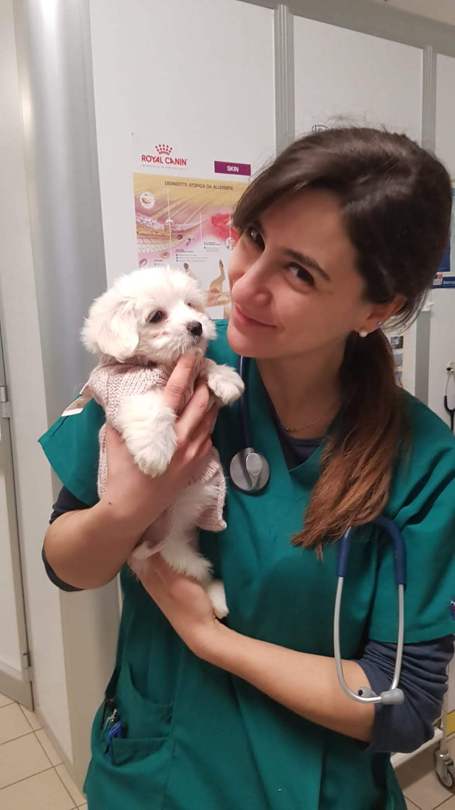 dottoressa zambello cura un cane