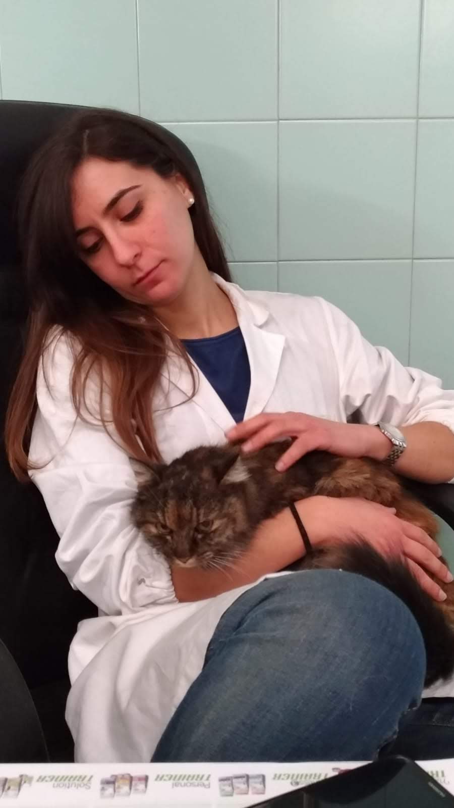 coccole al gatto