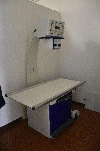radiografia