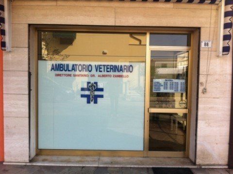 ambulatorio